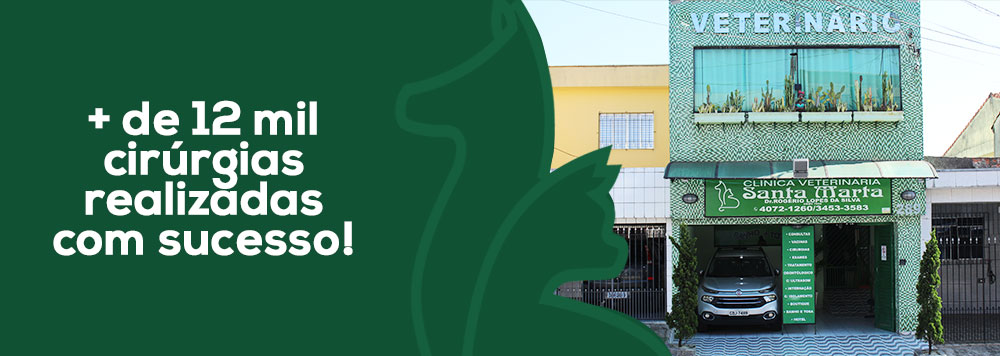 Veterinário em Diadema