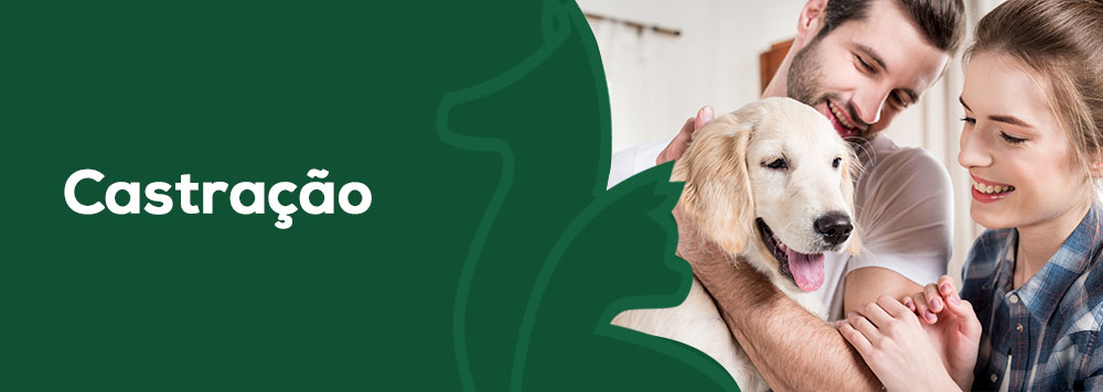 Veterinário em Diadema