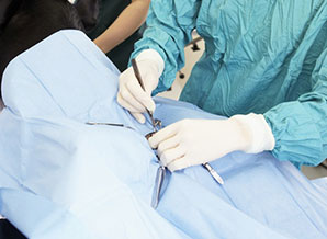 Qualidade e meio ambiente ( papelão reciclavel e com certificado de qualidade)