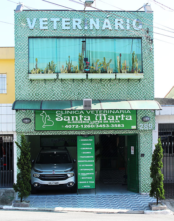 Veterinário em Diadema